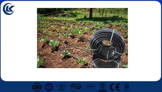 PVC pipes for irrigation