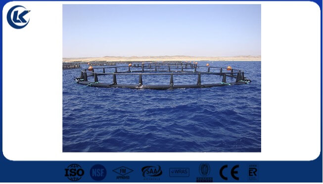 High-Density Polyethylene (HDPE) Pipes for Fish Farming