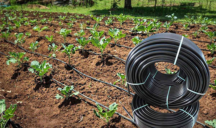 PVC pipes for irrigation