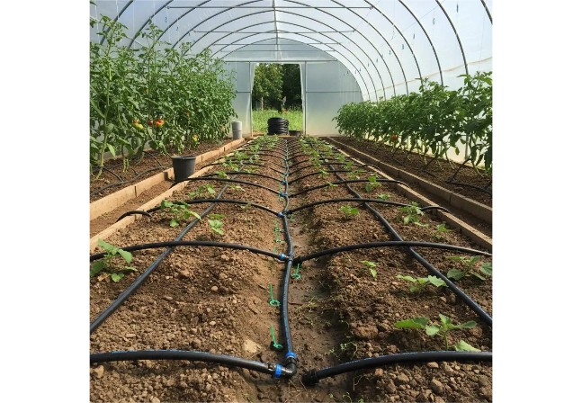 150 Hectare Fruit and Vegetable Greenhouse Irrigation Project